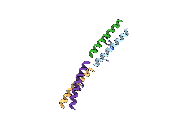 5WLM image