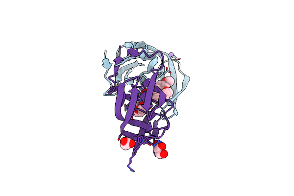 5WLO image
