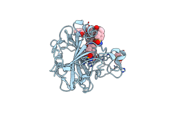 5WLV image