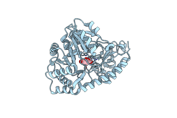 5WMI image