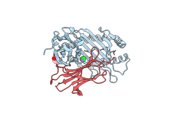 5WMP image