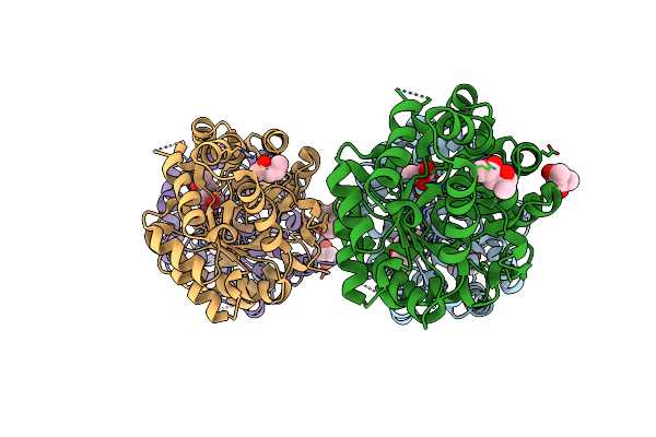 5WMS image