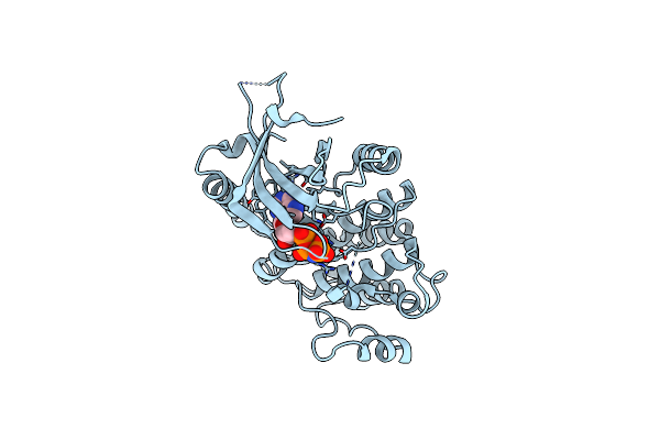 5WNO image