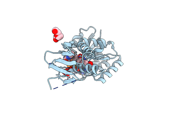 5WOL image