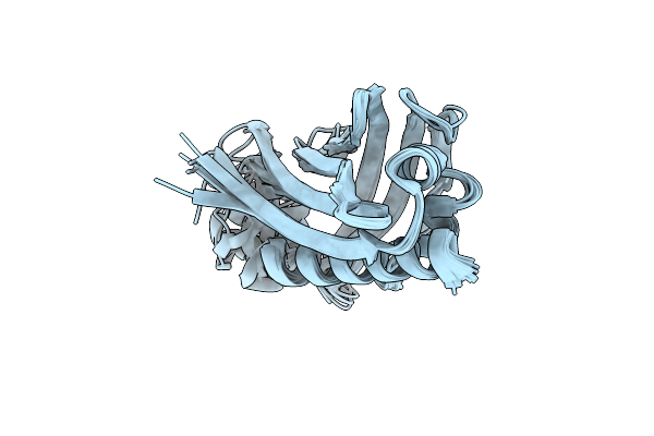 5WOX image