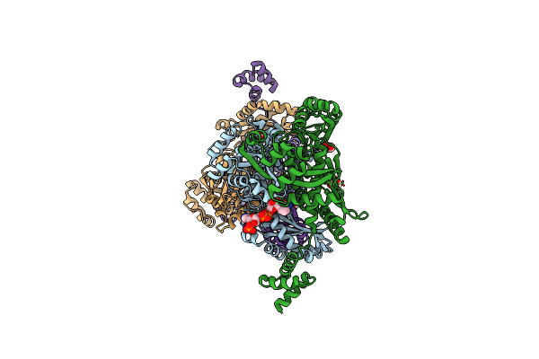5WPJ image