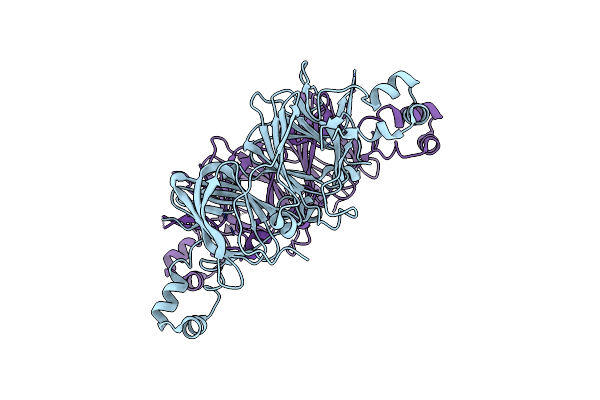 5WPW image