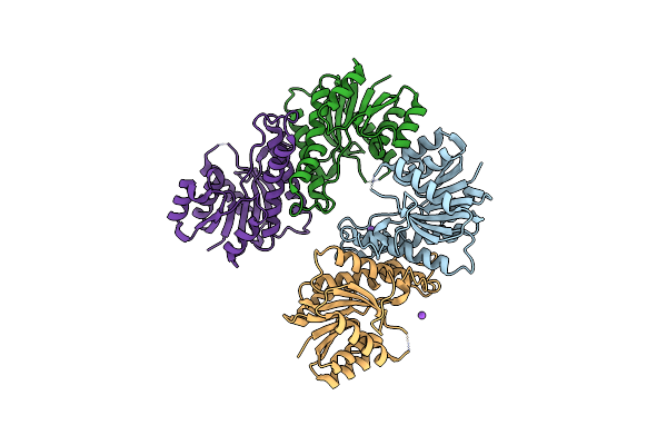 5WQM image