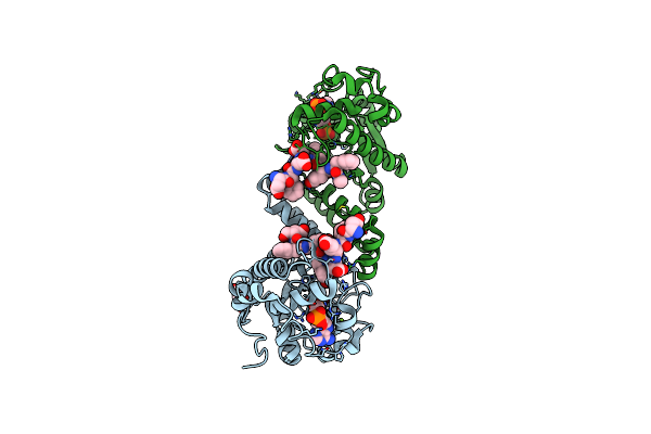 5WRI image