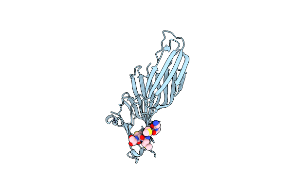 5WRM image