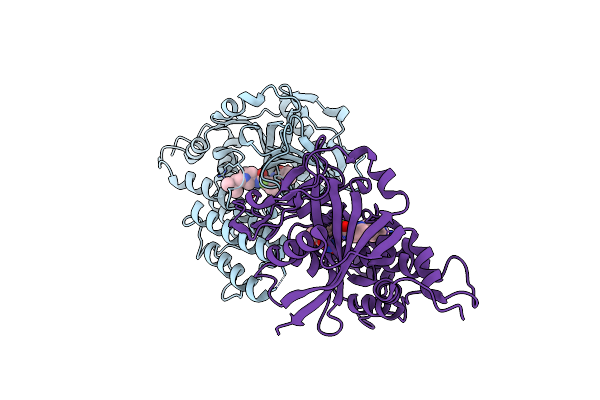 5WRQ image