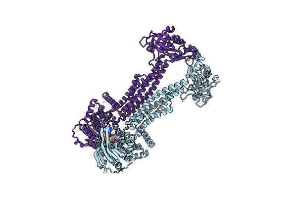 5WS4 image
