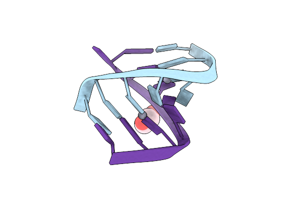 5WSQ image