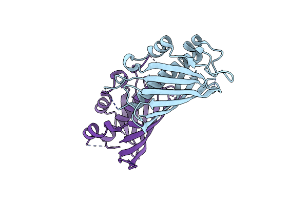 5WSX image