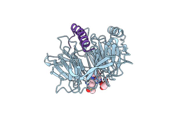 5WUK image