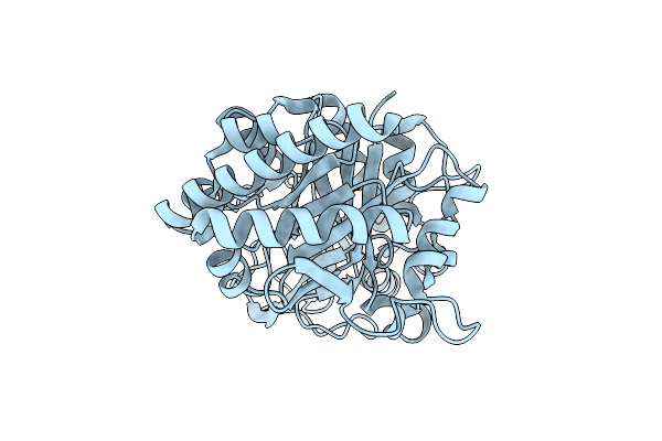 5WUP image