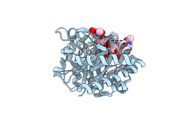 5WV9 image