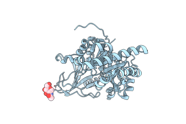 5WVF image