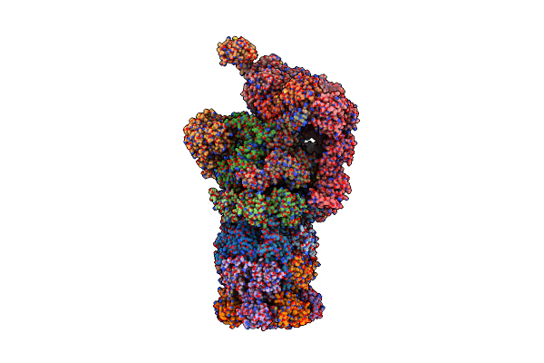 5WVK image