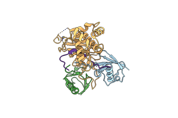5WVO image