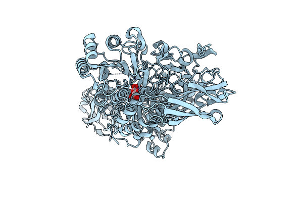 5WVP image