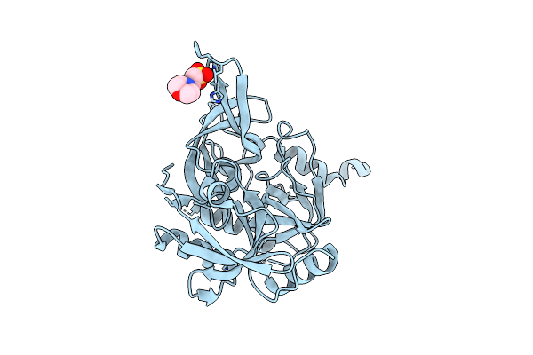 5WYN image