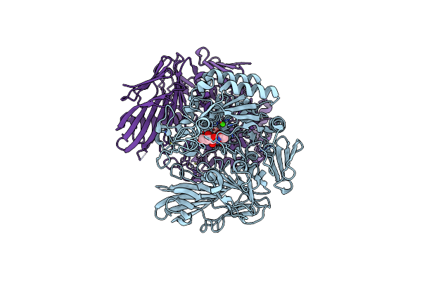 5WZN image