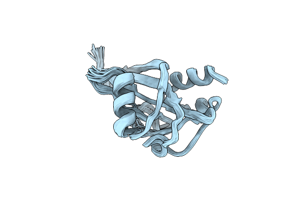 5X1X image