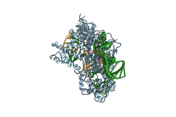 5X2G image