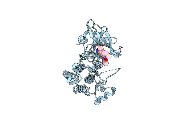 5X2K image
