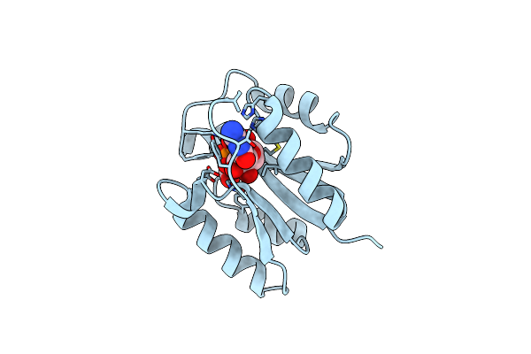 5X3D image