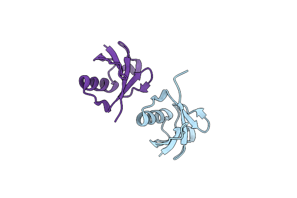 5X3O image