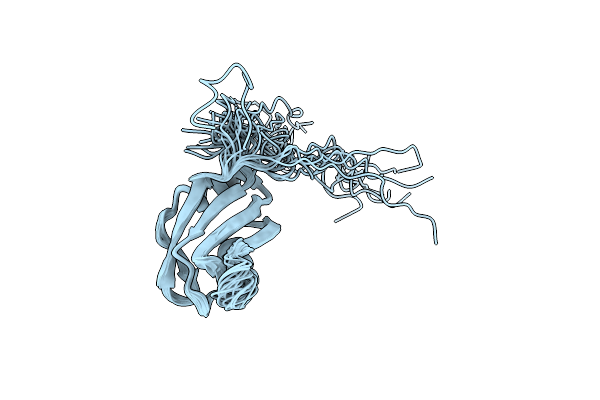 5X3Y image