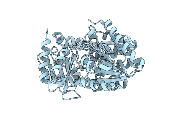 5X4I image