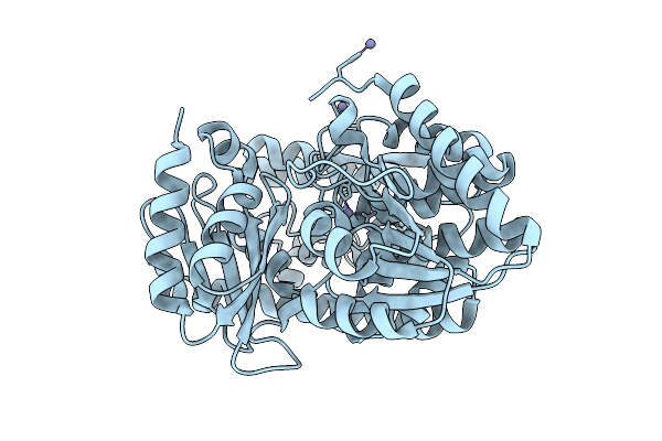 5X4J image