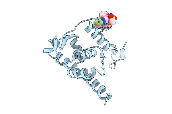 5X4O image