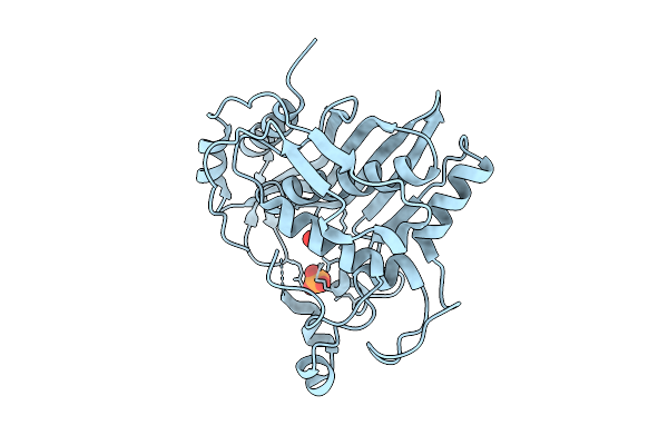 5X4W image