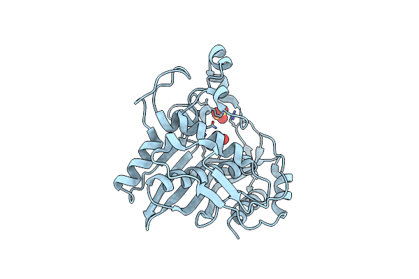 5X4X image