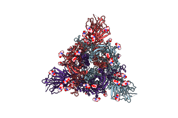 5X58 image