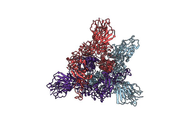 5X5B image