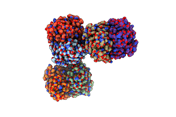 5X5D image