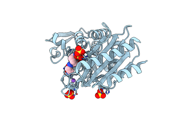 5X5G image