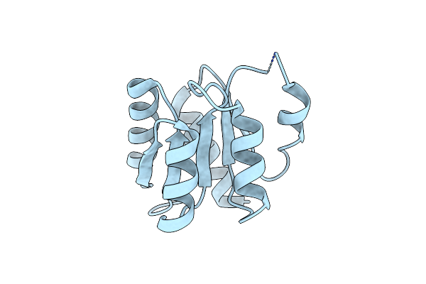 5X5J image