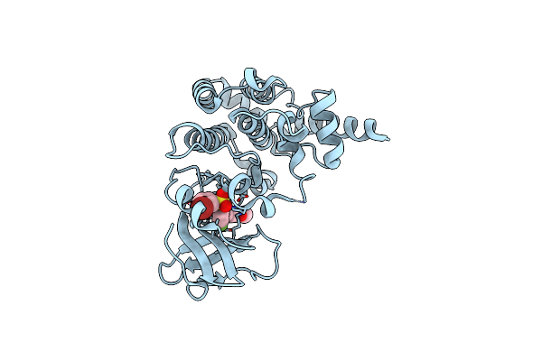 5X5O image