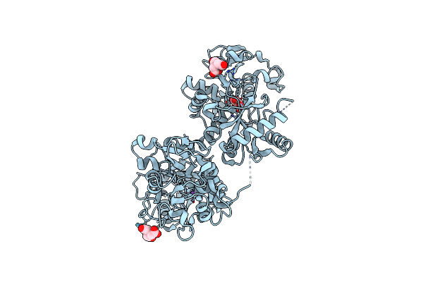 5X5P image