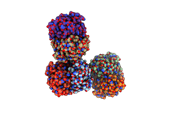 5X66 image