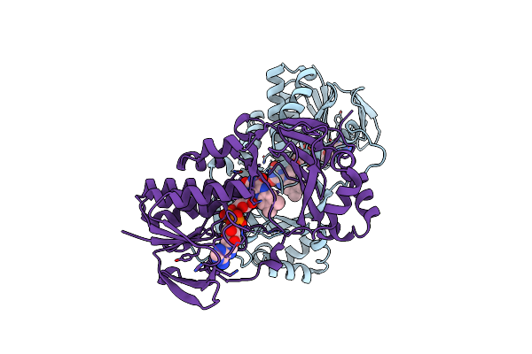 5X68 image