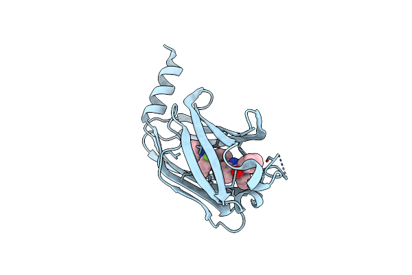 5X72 image