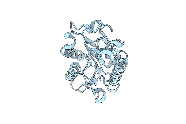 5X88 image