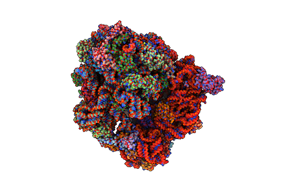 5X8P image